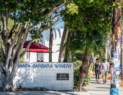 Shoto Land / 松濤ランド