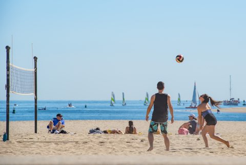 Shoto Land / 松濤ランド