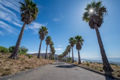 Shoto Land / 松濤ランド